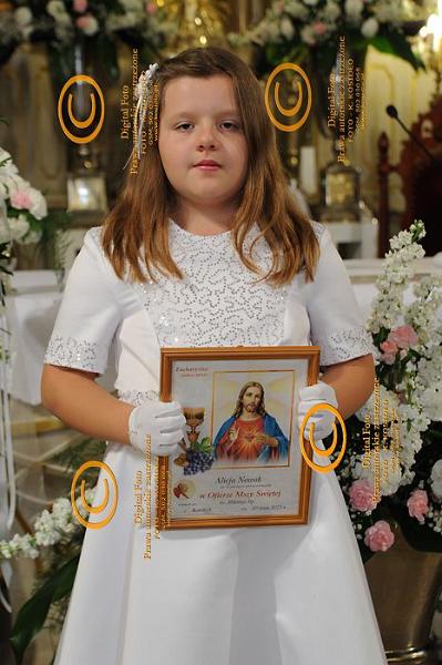 DSC_2914.jpg